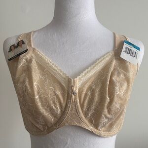 BALI -Elegant Lace Full Coverage Bra in Cream
